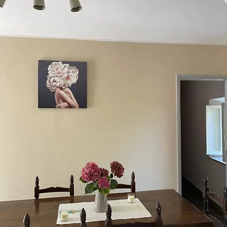 All'agacino Apartment Lucca